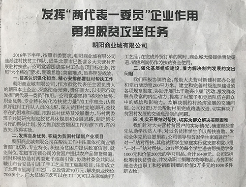 發(fā)揮“兩代表一委員”企業(yè)作用 勇?lián)撠毠匀蝿?wù)